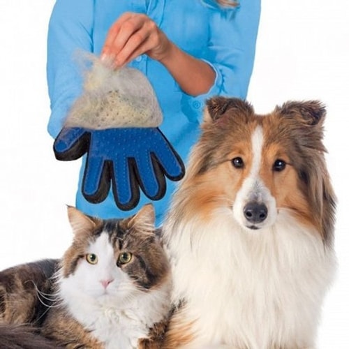 Onedio hayvanseverdir ve editörlerinin evlerinde her zaman tüy sorunu vardır! 😂 True Touch Kedi Köpek Tüy Alıcı Eldiven!