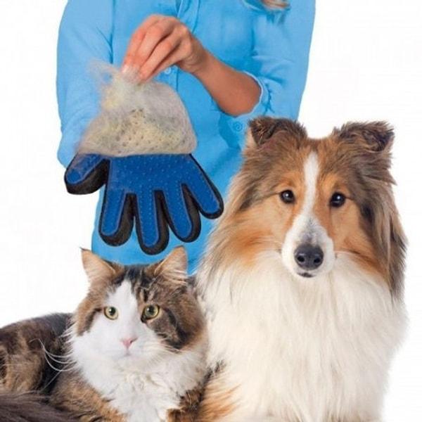 9. Onedio hayvanseverdir ve editörlerinin evlerinde her zaman tüy sorunu vardır! 😂 True Touch Kedi Köpek Tüy Alıcı Eldiven!
