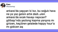 Bebelerin Harman Olduğu Ankara'nın Semtleri ve İlçeleriyle ile İlgili Cuk Oturmuş Tespitler