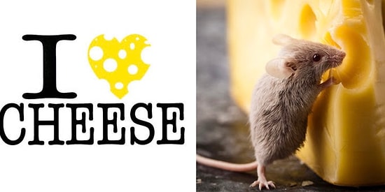 Тест: «Моцарелла» или «Рикотта»? Только настоящая «сырная душа» наберет в этом тесте 10/10!