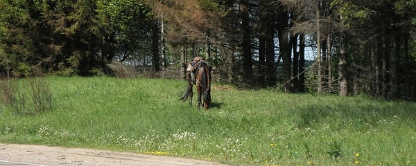 1. Населенного пункта с каким названием нет в России?