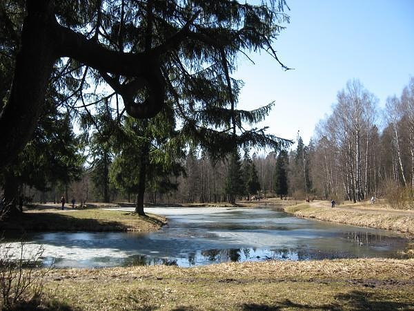 4. Где находится пруд "Шапка Наполеона"?