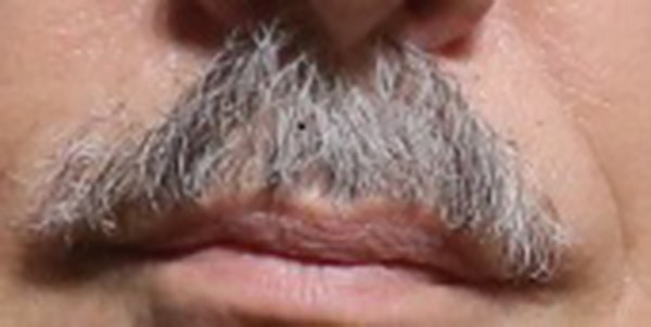 1. Кому принадлежат эти усы?