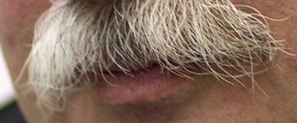 3. Кому принадлежат эти усы?