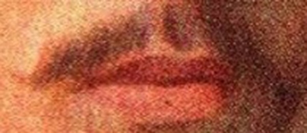 6. Кому принадлежат эти усы?