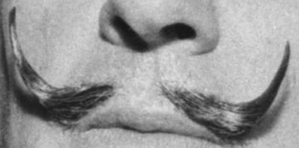 8. Кому принадлежат эти усы?