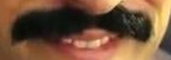 9. Кому принадлежат эти усы?