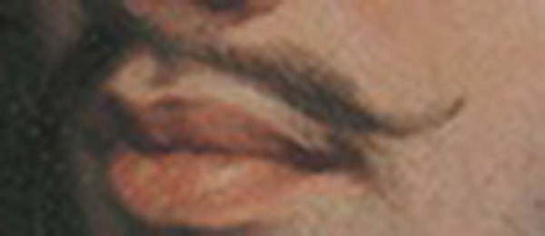 10. Кому принадлежат эти усы?