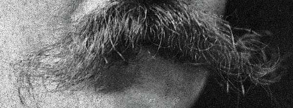 13. Кому принадлежат эти усы?