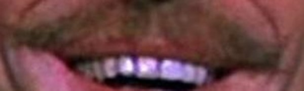 15. Кому принадлежат эти усы?