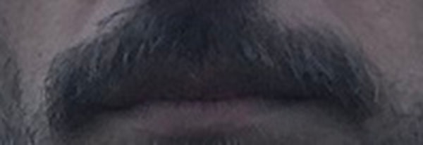 16. Кому принадлежат эти усы?