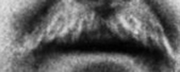 17. Кому принадлежат эти усы?