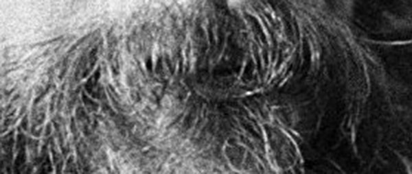 18. Кому принадлежат эти усы?