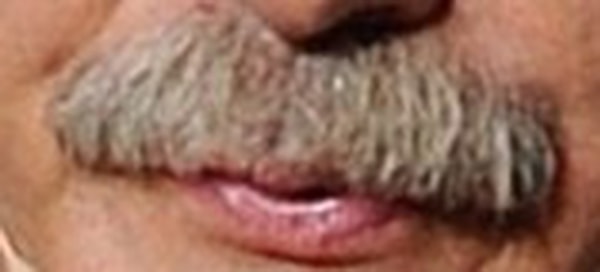 20. Кому принадлежат эти усы?