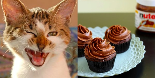 Вам стоит назвать питомца Маффин!