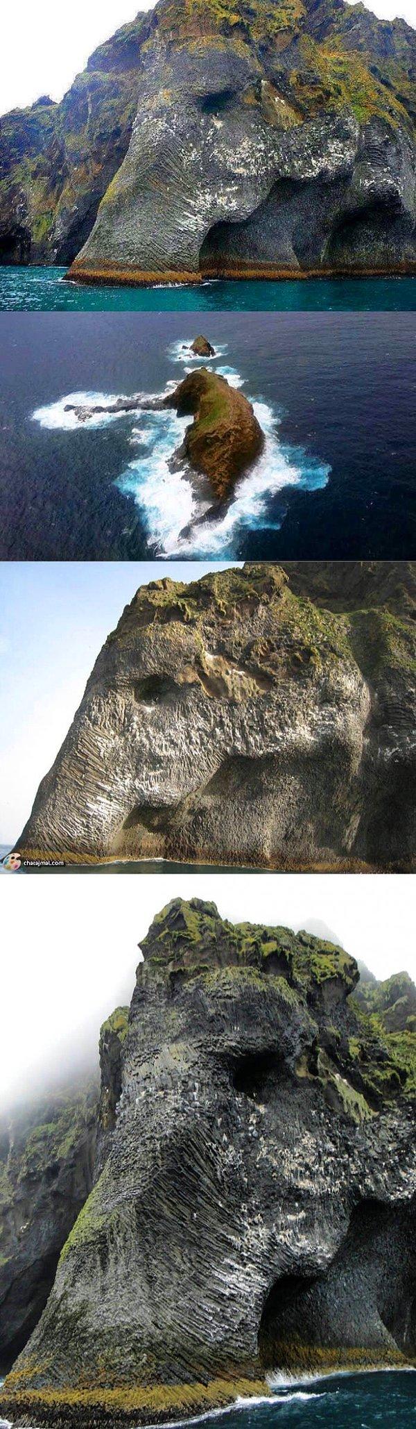 1. İzlanda'daki 'Fil Kayalıkları' sanki usta bir sanatçının elinden çıkmış gibi.