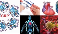 Hastalık Habercisi CRP Nedir? CRP ve Yüksekliği Hakkında Bilmeniz Gereken 5 Detay