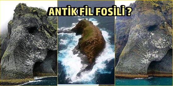Bir Ay Boyunca İnternet Alemini Ele Geçiren Bu 18 Görüntünün Sıradaki Hedefi Sizsiniz!