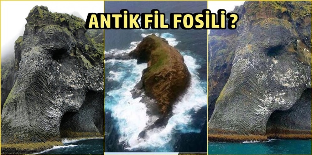 Bir Ay Boyunca İnternet Alemini Ele Geçiren Bu 18 Görüntünün Sıradaki Hedefi Sizsiniz!