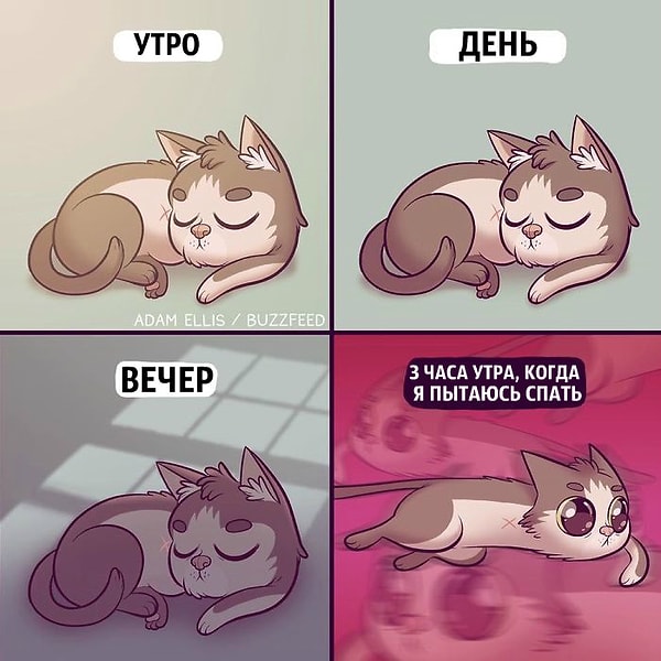 2. И так всегда