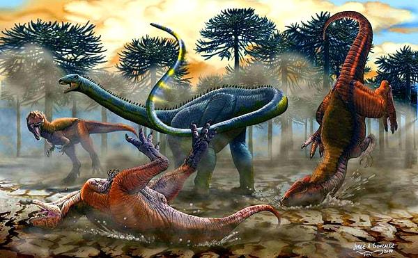 Adada daha önce de irili ufaklı ayak izleri bulunmuş ve bunların Saurischia ailesinden Sauropoda dinozorlarına ait olduğu belirtilmişti.
