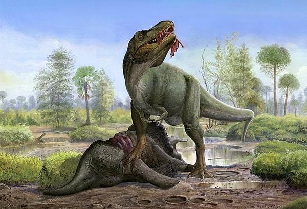 Edinburgh Üniversitesi'nden Palaentolog Dr. Stephen Brusatte "Bunlar etobur. Sadece ayak izleri var. El izi yok. Arka ayaklarıyla yürüyen bir dinozor bu. T-Rex'in ilkel bir kuzeni" bilgisini verdi.