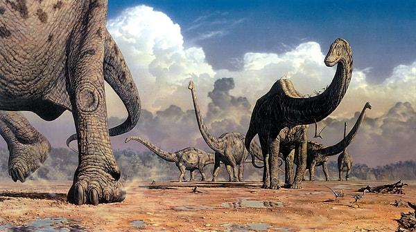 Bu canlıların yaklaşık 1 ton ağırlığında ve 5-6 metre boyunda olduğunu tespit eden Brusatte, dinozorların sığ sularda yürürken ayak izlerini bıraktığını söyledi.