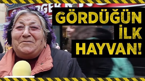 Karşılaştığınız İlk Hayvan Neydi?