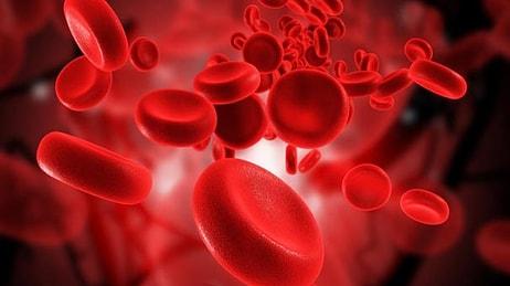 Kan Değerlerinizi Ölçen MCV Nedir? MCV Hakkında Bilmeniz Gereken 5 Şey