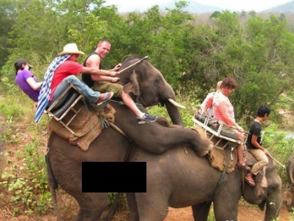 3. Когда порыв страсти настигает немного не вовремя...