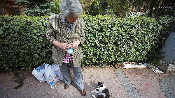 Maaşını sokak hayvanlarının beslenmesine adayan İplikçi günlük olarak aldığı ciğer ve kuru mamalarla Ankara sokaklarını güzelleştiriyor.