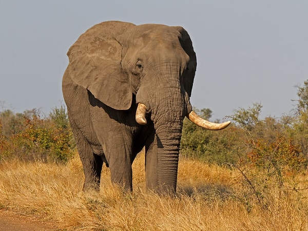 Посмотреть правильный ответ: