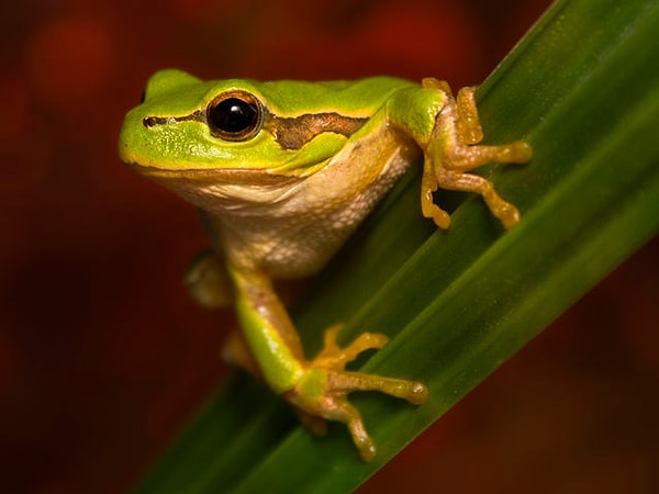 Посмотреть правильный ответ: