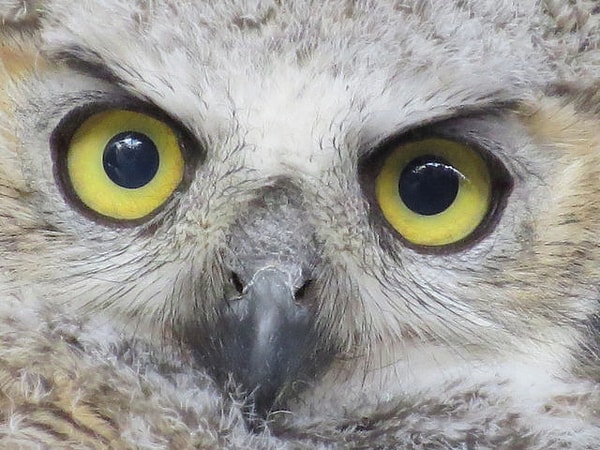 Посмотреть правильный ответ: