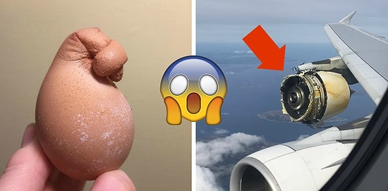 15 «безобидных» фото, досмотреть которые смогут лишь люди со стальными нервами