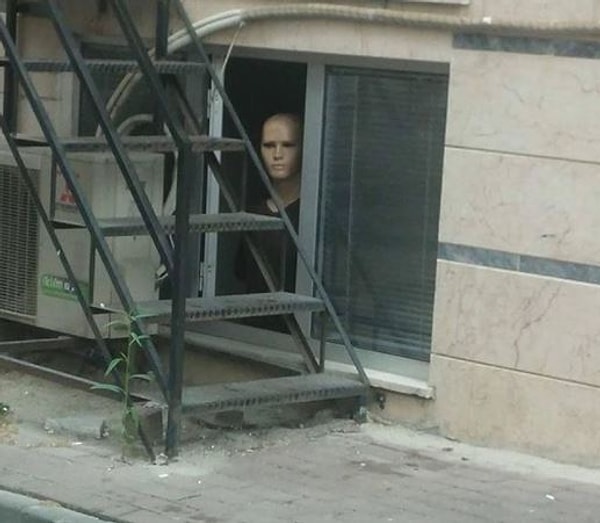 4. Прохожий, остановись! 😕