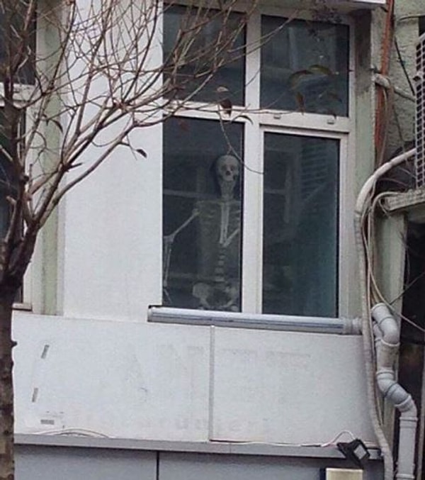 5. Хороший денек, правда? 😅