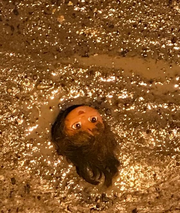 9. Как в фильме ужасов 😣