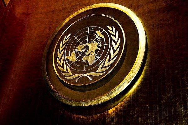 Otonom silahlardan endişe duyan bilim insanları daha önce de konuyu Birleşmiş Milletler'in gündemine getirmiş ve 19 ülkenin desteğini almıştı.