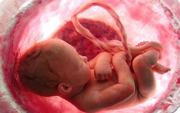10. Hamilelik sırasında iç organlara zarar gelmesi halinde, bebekler iyileşme sürecini hızlandırmak için hasarlı noktaya kök hücrelerini gönderirler.