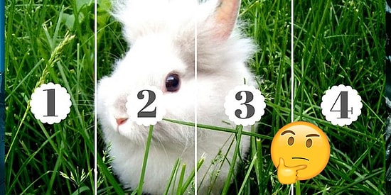 Вам не занимать внимательности и терпения, если вы сможете найти все пасхальные яйца на этих картинках