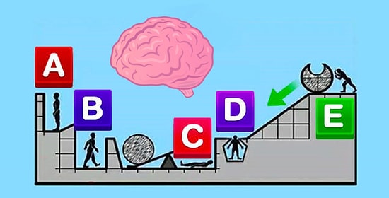 Узнайте, к какому типу гения вы относитесь, всего лишь пройдя этот нехитрый тест 😉