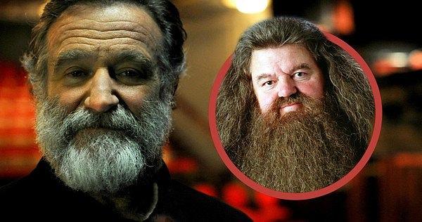 2. Robin Williams Harry Potter serisinde Hagrid rolünü oynamayı çok istemiş, fakat serinin yaratıcısı Rowling yalnızca Britanyalı aktörlerle çalışmak istediği için bu mümkün olmamış.