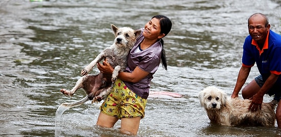 Самый добрый ролик на Земле: люди спасают животных, оказавшихся в беде