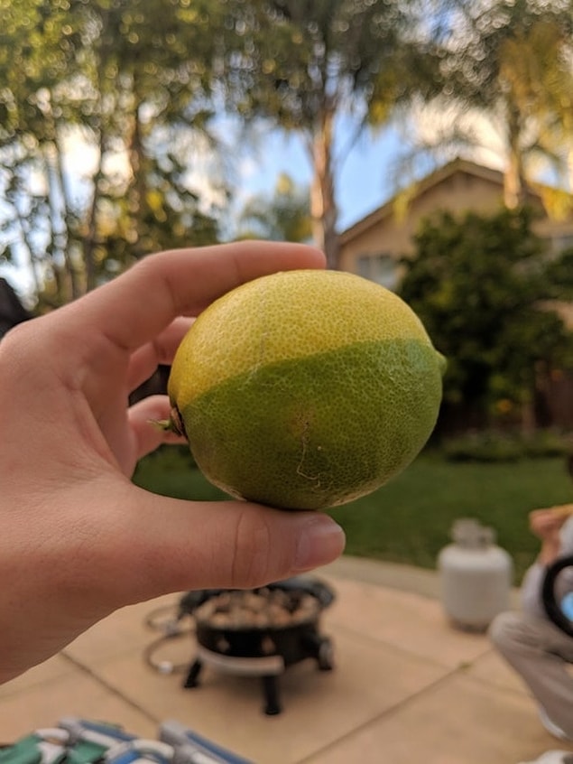 4. Bir limon ve misket limonu.