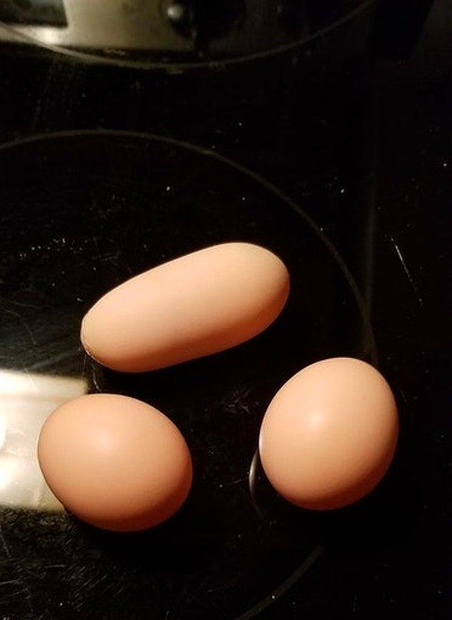 15. Şekil konusunda zincirlerini kırmış bir yumurta