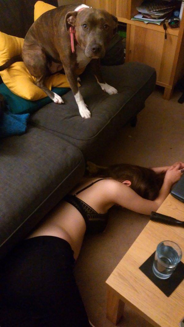 14. "Kız arkadaşım dün gece sarhoş oldu. Köpeğimiz de aynı derecede endişeli ve umursamaz vaziyetteydi."