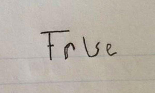 8. True= doğru, false= yanlış. Sizce hangisi?