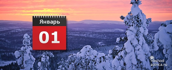 Серьёзные, сдержанные, внимательные, общительные, упрямые