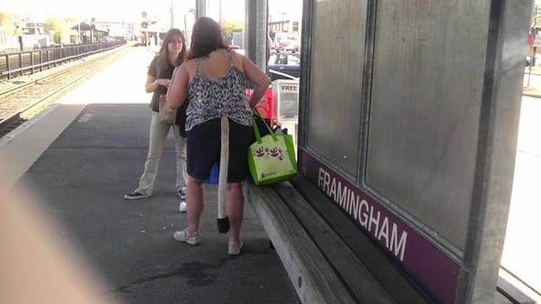 21. Женщина-кошка уже не та...